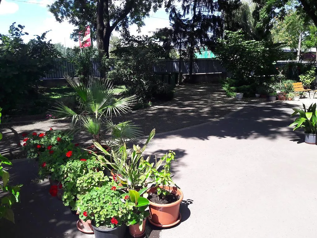 Orchidea Apartman Eger Hungary